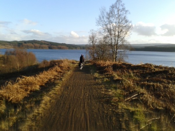 View of Kielder