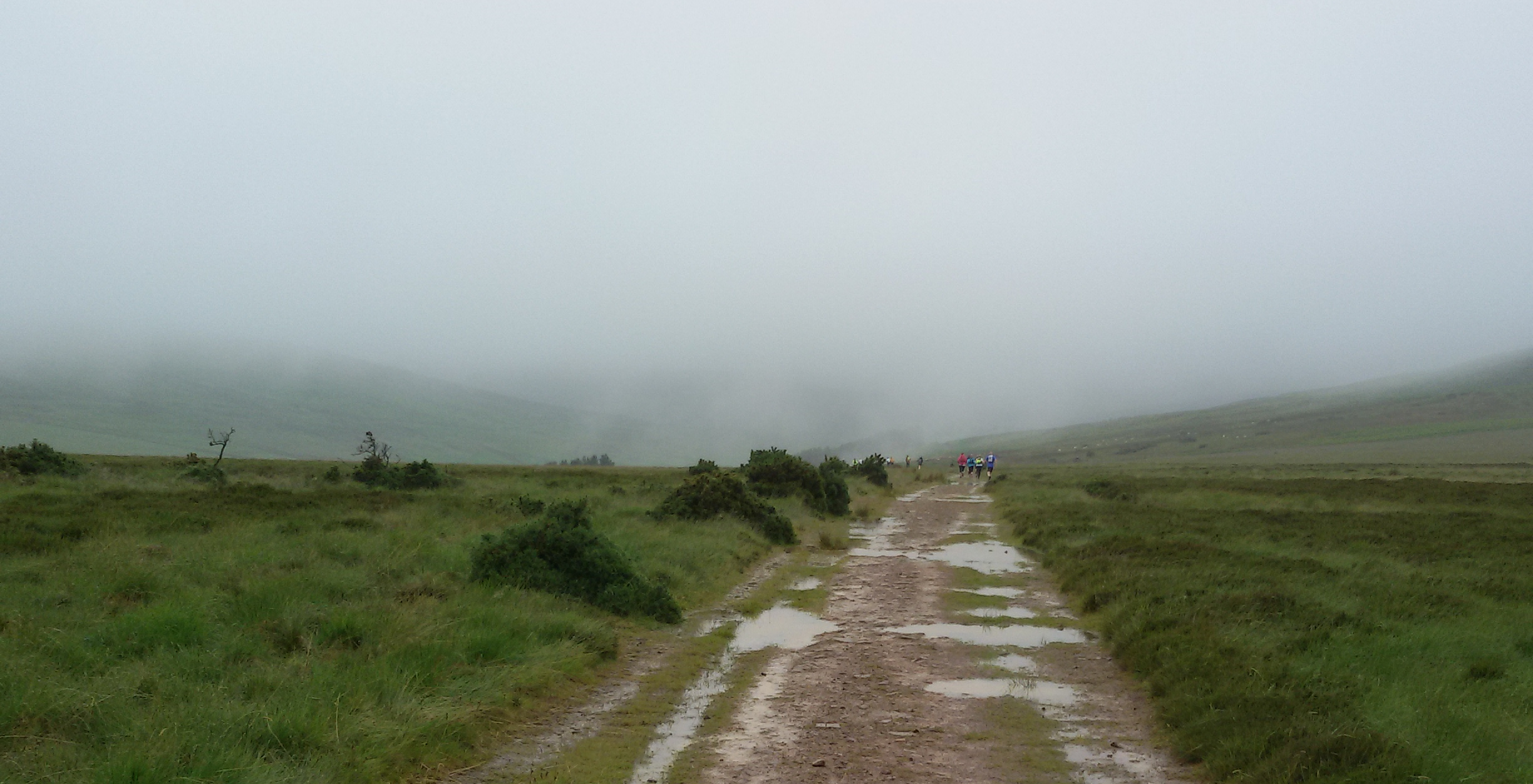 Heading into the Mist