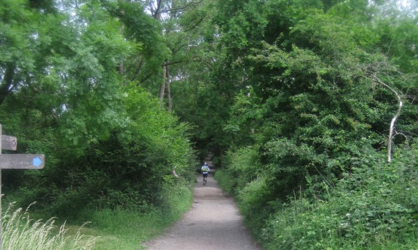 10_departing-graffam-down