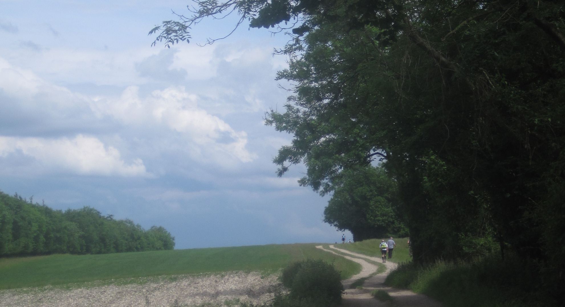 11_woolavington-down