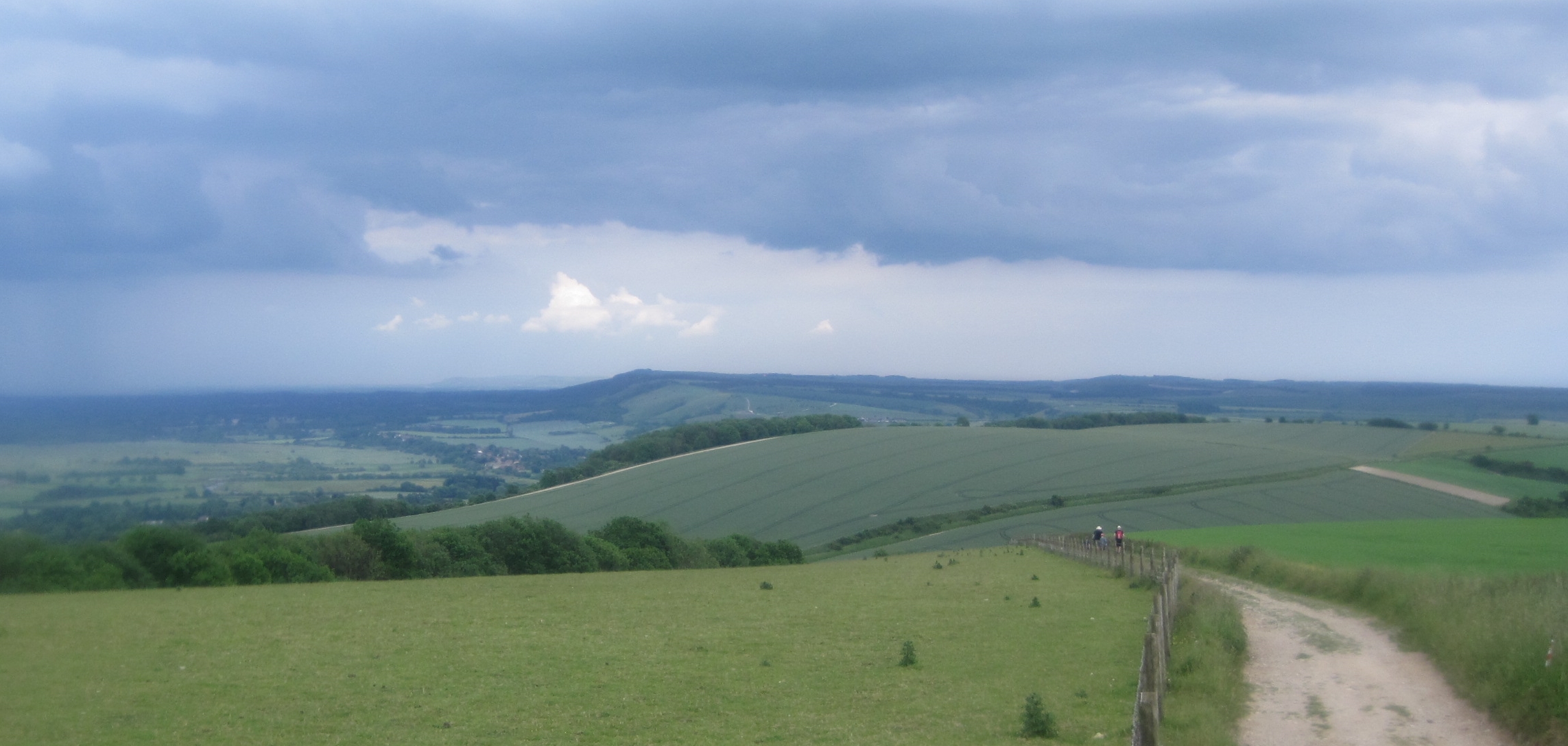 16_westburton-hill-ahead-looking-ahead-to-rackham-and-kithurst-in-the-distance