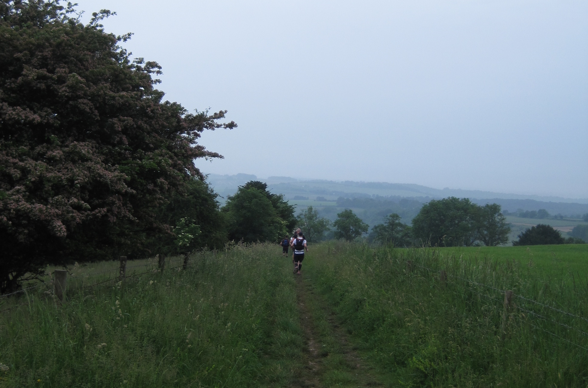 1__2016-06-10-21-40-26