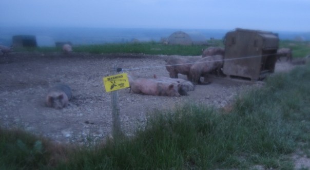 26_annington-hill-above-botolphs