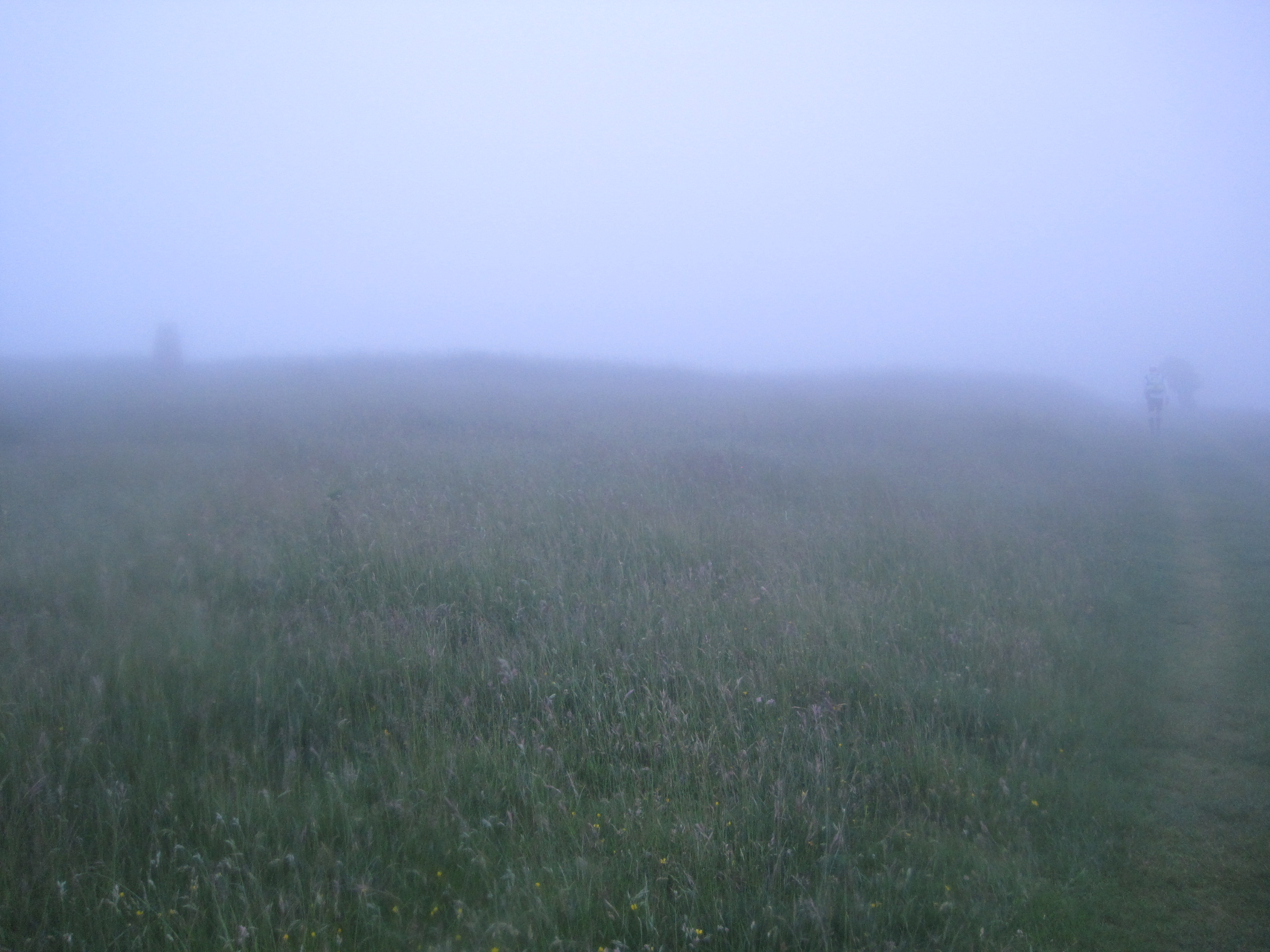 30_on-tops-after-southease-itford-farm