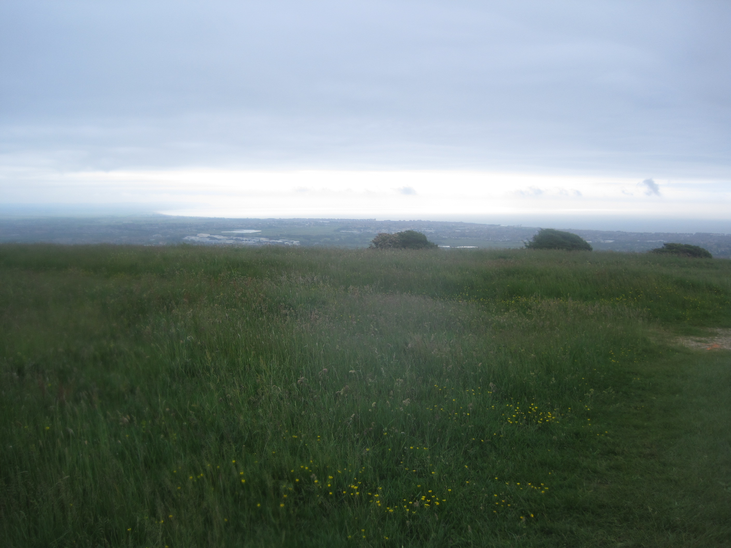 34_looking-over-eastbourne