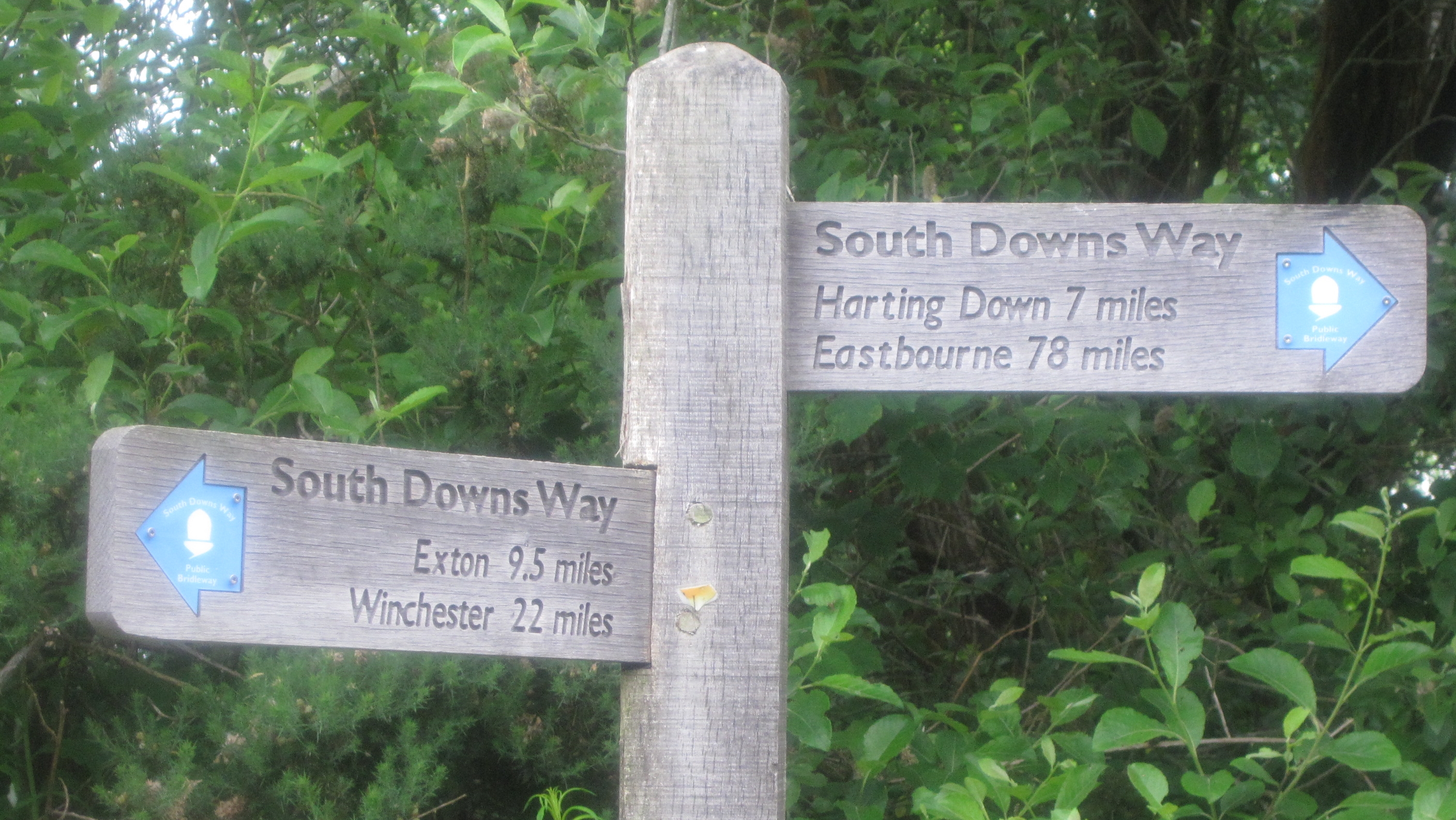 4_2016-06-11-00-07-40