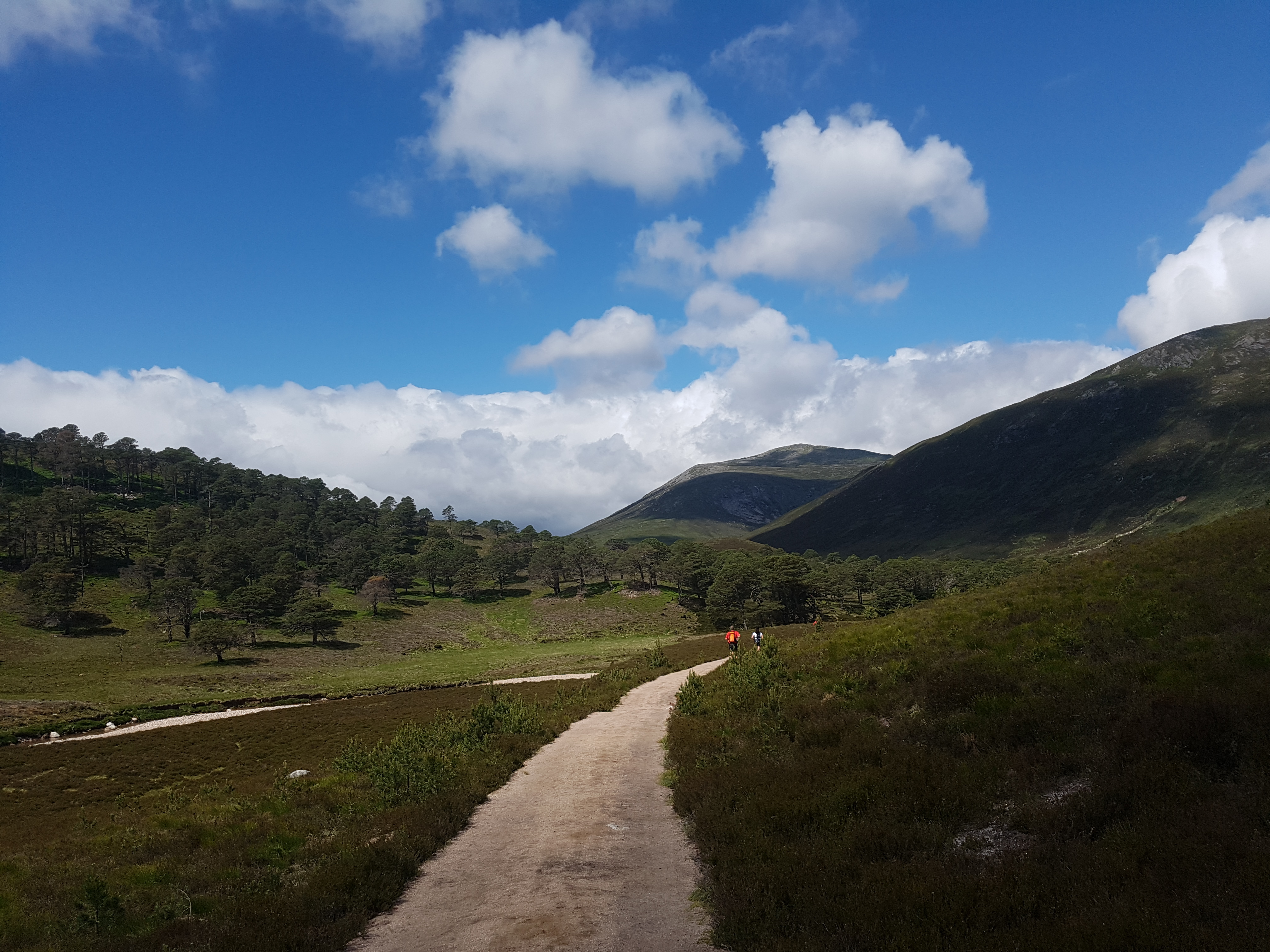 02 Stunning running heavy runner up ahead