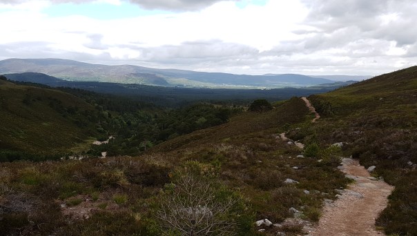 13 Good Trail approaching Rothiemurchus